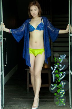 傻王夺嫡